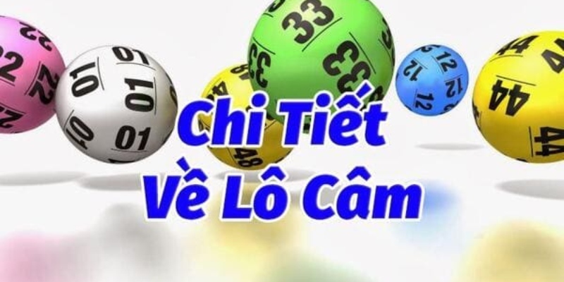Khái niệm chi tiết dành cho tân thủ lô cầm là gì? 